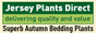 Go to Jersey Plants Direct